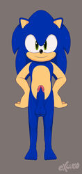 2021 anthro balls black_nose blue_hair digital_media_(artwork) erection eulipotyphlan excito front_view full-length_portrait fur furry furry_only genitals green_eyes grey_background hair hands_on_hips hedgehog hi_res looking_at_viewer male male_only mammal nude penis portrait sega signature simple_background solo sonic_(series) sonic_the_hedgehog sonic_the_hedgehog_(series) standing