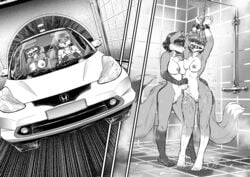 2girls anthro arms_up ball_gag bathing bdsm bondage bound bound_wrists breast_to_breast breasts canid canine car cuffs cuffs_(disambiguation) driving duo embarrassed enko_(xirix) female female/female female_only femdom femsub forced fox furry gag gagged hi_res honda in_car iris_(zepompom) kidnapped mammal matsumotoshao monochrome pussy restrained rope rope_bondage rope_harness shower slave story story_in_description tail tied_up wet wrist_cuffs yuri