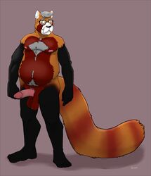 2016 ailurid anthro balls bravo elder erection eyewear facial_hair fur genitals glasses grey_body grey_fur male mammal mature_male moustache orange_body orange_fur overweight overweight_male penis red_panda simple_background solo