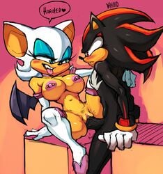 rouge the bat from sega by darknud