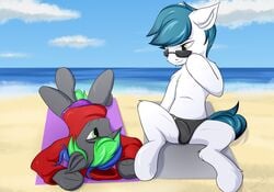 beach bulge clothing detailed_bulge equid equine eyewear furry genital_outline hasbro hi_res hoodie horse male mammal my_little_pony penis_outline pony sand seaside sitting snowstormbat speedo sunglasses swimwear topwear towel ungulate ungulate_legs water