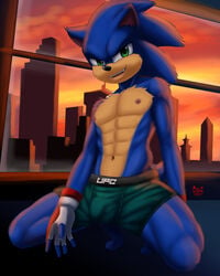 4:5 abs anthro blue_body blue_fur boxers_(clothing) bulge clothing dgemporium eulipotyphlan fur gloves green_eyes handwear hedgehog hi_res male male_nipples male_only mammal muscular muscular_anthro muscular_male sega smile solo solo_focus sonic_(series) sonic_the_hedgehog sonic_the_hedgehog_(film) sonic_the_hedgehog_(series) underwear