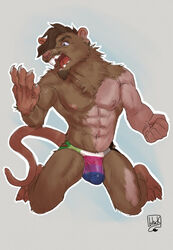 abs anthro aromantic_pride_colors bisexual_pride_colors brown_body brown_fur brown_hair buckteeth bulge claws facial_hair fur furry genital_outline goatee highres jockstrap kneeling lgbt_pride lion21 male male_focus male_only mammal murid murine muscular muscular_anthro muscular_male neck_tuft penis_outline pride_color_clothing pride_color_underwear pride_colors rat rodent solo species_transformation teeth transformation tuft underwear were wererat wererodent