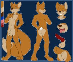 absurd_res anthro ass balls blue_eyes canid canine fox fur genitals hi_res invalid_tag king(@itskingaroo) knot male mammal model_sheet nude one_eye_closed smile solo timelord tongue wink