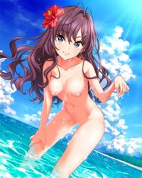 annindoufu_(oicon) bangs bare_shoulders beach blue_eyes blush breasts brown_hair clavicle day dripping earrings eyebrows_visible_through_hair female female female_only flower flower_on_head hair_between_eyes hair_flower hair_intakes hair_ornament hand_on_thigh head_tilt hibiscus ichinose_shiki idolmaster idolmaster_cinderella_girls jewelry leaning_forward legs long_hair looking_at_viewer medium_breasts navel necklace nipples nude nude_filter outdoor_nudity outdoors paipan partially_submerged smile solo standing tagme thighs third-party_edit water wet