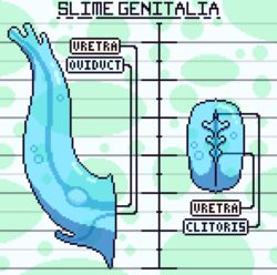 alien clitoris egg female genitals goo_creature male monster negativskill ovipositor pattern_background pussy simple_background urethra zero_pictured