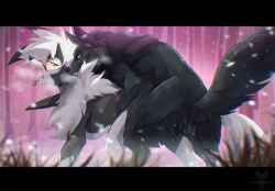 amarok_black_(character) anal anal_sex balls bite black_body black_fur blue_eyes canid canine canis digitigrade duo dusk_lycanroc fangs feral feral_on_feral feral_penetrated feral_penetrating feral_penetrating_feral fluffy from_behind_position fur furry_only genitals grass hi_res inner_ear_fluff letterbox looking_back lycanroc male male/male male_only male_penetrated male_penetrating male_penetrating_male mammal mounting neck_bite nintendo no_humans open_mouth penetration plant pokémon_(species) pokemon quadruped rear_view sex shaded snow snowing swift_(tenebscuro) tenebscuro tongue tongue_out tree tuft video_games watermark white_body white_fur wolf yellow_eyes