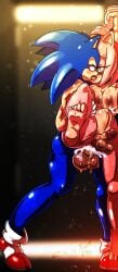 amy rose from sonic (series) by zenkitsune (artist)