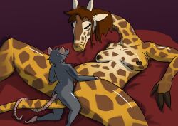 Furry Rule 34 Image