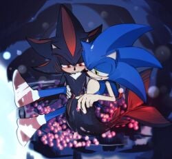 shadow the hedgehog from sonic (series) by satosi peter