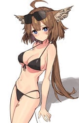 aciddrop_(arknights) ahoge animal_ears arknights bandaid bandaid_on_face bikini black_bikini blue_eyes blush breasts bright_pupils brown_hair cleavage cowboy_shot eyewear_on_head female front-tie_bikini front-tie_top highres large_breasts leaning_back long_hair looking_at_viewer low_ponytail multi-strapped_bikini navel sigm@ simple_background solo strap_gap sweatdrop swimsuit visor white_background white_pupils