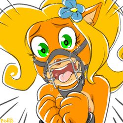 1girls anthro bishopbb bondage breasts coco_bandicoot collar crash_(series) crying cuffs female femsub gag harness_gag nude open_mouth_gag restrained solo tied_up wrist_cuffs