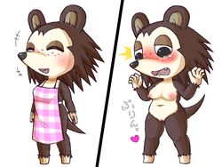 4:3 alternate_breast_size animal_crossing anthro apron apron_only blush bodily_fluids breasts clothing davirook embarrassed eulipotyphlan female genitals hedgehog hi_res japanese_text mammal mostly_nude nintendo nude pussy sable_able sequence smile solo tears text video_games