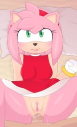 Sonic (Series) Rule 34 Image
