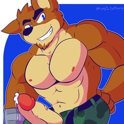 1:1 1boy abs activision alternate_version_at_source anthro bandicoot bodily_fluids clothed clothing crash_(series) crash_bandicoot_(series) crunch_bandicoot digital_media_(artwork) erection fizzyjay fur genital_fluids genitals hi_res looking_at_viewer male male_focus male_only male_solo mammal marsupial muscular muscular_male nipples pecs penis simple_background smile solo solo_male video_games