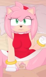 Sonic (Series) Rule 34 Image