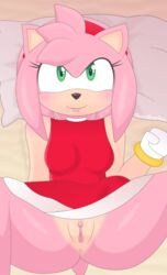 Sonic (Series) Rule 34 Image