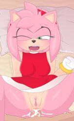 Sonic (Series) Rule 34 Image