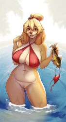 absurd_res accessory animal_crossing anthro big_breasts bikini blonde_hair bottomless breasts brown_nose canid canine canis clothed clothing creativeevil domestic_dog female floppy_ears genitals hair hair_accessory hair_tie hi_res holding_fish isabelle_(animal_crossing) long_ears mammal nintendo nipple_outline open_mouth partially_submerged pussy shih_tzu solo standing_in_water swimwear toy_dog two-piece_swimsuit wet