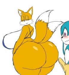 1boy 1girls 2024 2_tails big_ass blue_body blue_fur blush erect_penis female fennec_fox fennec_humanoid fox_girl fox_humanoid kitsunami_the_fennec magenta_eyes male miles_prower mobian_(species) momiji_(artist) multi_tail rule_63 sega sonic_(series) sonic_the_hedgehog_(series) straight tails tailsko yellow_body yellow_fur