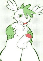 anthro generation_4_pokemon genitals hi_res legendary_pokemon male nintendo nude penis pokemon pokemon_(species) shaymin solo tomotomo15