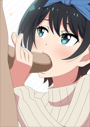 sarashina ruka from kanojo okarishimasu by atelier gons