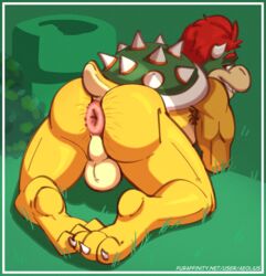 aeolius all_fours anus backsack balls bowser bowser_day genitals koopa looking_at_viewer looking_back male male_focus male_only mario_(series) muscular muscular_male nintendo presenting puffy_anus scalie smile solo super_mario_bros. video_games warp_pipe