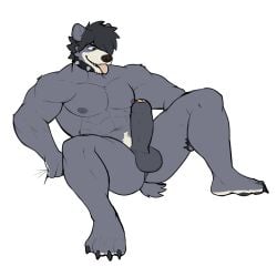 abs anthro anus areola aroused balls bear big_penis claws collar erection feet fingers foreskin full-length_portrait fur genitals glans grabbing_sheets grey_body grey_fur grey_hair hair hair_over_eye hi_res humanoid_genitalia humanoid_hands humanoid_penis jrjresq leaning leaning_backward looking_at_genitalia looking_at_penis male mammal marsh_(jrjresq) muscular muscular_anthro muscular_arms muscular_male nipples nude open_mouth open_smile pawpads pecs penis perineum portrait pose short_hair short_tail simple_background sitting smile solo spiked_collar spikes spread_legs spreading tail toe_claws toes tongue tongue_out white_background white_body white_fur