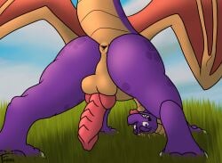 activision anus backsack balls dragon european_mythology feral fwankie genitals grass grin grinning_at_viewer hi_res knot looking_at_viewer looking_back male mythological_creature mythological_scalie mythology outside pawpads penis plant presenting presenting_anus presenting_balls presenting_penis rear_view scalie smile smiling_at_viewer solo spread_wings spyro spyro_the_dragon standing tail tongue tongue_out western_dragon wings