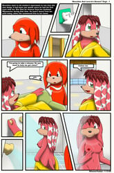 anthro echidna female fur incest kitsune_youkai knuckles_the_echidna lara-le male mammal monotreme mother_and_son shower sonic_(series) strip tagme