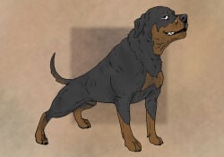 2026 animal_genitalia black_body black_claws black_fur black_nose brown_eyes brown_markings brown_socks_(marking) canid canine caninsector canis claws domestic_dog feral fully_sheathed fur genitals looking_aside_at_viewer male mammal markings mastiff molosser rottweiler semi-realistic semi-realistic_feral sheath simple_background solo tan_background