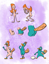 anthro_focus candace_flynn disney disney_channel disney_xd egg female female_only feral fur human human_to_feral mammal monotreme nipples phineas_and_ferb platypus pussy solo tagme tail teal_fur transformation what