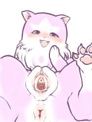 2020 3:4 anus blush chest_tuft claws clitoral_hood clitoris cute_fangs digital_drawing_(artwork) digital_media_(artwork) diru domestic_cat fangs felid feline felis female female_feral feral flat_colors foreshortening front_view fur fur_tuft gaping gaping_vagina genitals half-closed_eyes hi_res inner_ear_fluff inner_labia looking_at_viewer lying mammal multicolored_body multicolored_fur narrowed_eyes on_back open_mouth open_smile paws pink_body pink_fur quadruped simple_background smile solo teeth toe_claws tuft two_tone_body two_tone_fur urethra vaginal_canal vulva white_background white_body white_fur