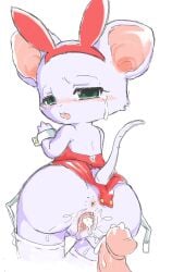 2017 anthro anus biped blush bodily_fluids bottomwear butt cel_shading clothed clothed_anthro clothed_female clothing crying cuffs_(clothing) cum cum_in_vagina cum_inside cum_on_butt cum_string digital_drawing_(artwork) digital_media_(artwork) diru disembodied_penis fake_ears fake_rabbit_ears female female_anthro fur furgonomic_bottomwear furgonomics genital_fluids genitals glans green_eyes grey_body grey_fur half-closed_eyes hi_res humanoid_genitalia humanoid_penis legwear leotard looking_back mammal monotone_body monotone_fur murid murine narrowed_eyes partially_clothed penis playboy_bunny pull_out rat rat_tail rear_view rodent shaded simple_background slim slim_anthro slim_female solo stockings tail tears white_background