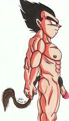 1boy 2010 abs biceps big_penis bodybuilder boner cowcat44 dragon_ball dragon_ball_z erection male male_only muscles nude pecs penis serratus_anterior solo straight_hair vegeta