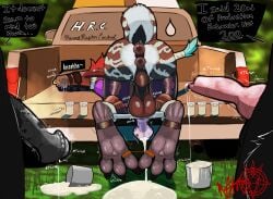 2_anuses 3_toes absurd_res ambiguous_species animal_genitalia animal_penis anthro anus aphrodisiac avian backsack balls bdsm big_balls bird bit_gag blindfold bodily_fluids bondage bound bucket canine_genitalia canine_penis captured container cum cum_collecting cum_in_bucket cum_in_container cum_spurt cybernetics cyborg dialogue dinosaur dripping dromaeosaurid equine_genitalia equine_penis excessive_cum excessive_genital_fluids exhibitionism feathered_dinosaur feathered_scalie feathers feet flared_penis foot_fetish foot_focus forced gag genital_fluids genitals hi_res horn knot latex machine male male/male multi_anus musky_penis nytris nytristheraptor outside penile penis penis_milking piercing precum precum_drip prehistoric_species presenting puffy_anus questionable_consent reptile restraints saurischian scalie scientific_instrument solo spreader_bar striped_body stripes tail tail_wraps theropod throbbing throbbing_penis toe_prints toe_restraints toes truck vehicle vein veiny_penis wraps
