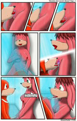 anthro boner breasts cum cum_on_tongue echidna female fur grope incest kitsune_youkai knuckles_the_echidna lara-le male mammal monotreme mother_and_son oral_sex pussy shower sonic_(series) straight tagme tongue