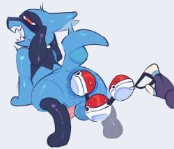 ambiguous_gender anal anal_bead_pull anal_beads anal_beads_in_ass anal_penetration anthro anthro_penetrated anus arched_back blue_body bodily_fluids clothing digitigrade disembodied_hand duo fingerless_gloves generation_4_pokemon genitals glistening glistening_body gloves handwear hi_res male male/ambiguous male_focus male_penetrated nintendo object_in_ass open_mouth pain pained_expression penetration penis pokeball pokeball_anal_beads pokeball_sex_toy pokemon pokemon_(species) pupils rear_view red_pupils riolu sex_toy sex_toy_in_ass sex_toy_insertion sharp_teeth shortstack shortstack_male size_difference smaller_male solo_focus sweat sweatdrop tail tankunito teeth thick_thighs