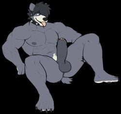 2d_animation abs alpha_channel animated anthro anus areola aroused balls bear big_penis breathing claws collar erection feet fingers foreskin full-length_portrait fur genitals glans grabbing_sheets grey_body grey_fur grey_hair hair hair_over_eye hi_res holding_leg humanoid_genitalia humanoid_hands humanoid_penis jiggling jrjresq leaning leaning_backward looking_at_genitalia looking_at_penis loop male mammal marsh_(jrjresq) motion_tweening movement muscular muscular_anthro muscular_arms muscular_male nipples nude open_mouth open_smile pawpads pecs penis perineum portrait pose short_hair short_tail simple_background sitting smile solo spiked_collar spikes spread_legs spreading tail throbbing throbbing_balls toe_claws toes tongue tongue_out transparent_background white_body white_fur