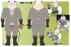 2021 3:2 anthro apron ass belly blush closed_eyes clothing flaccid foreskin fur genitals grey_body grey_fur hi_res humanoid_genitalia humanoid_hands humanoid_penis male mammal marsupial mature_male model_sheet musclegut oliver_rousseau penis phalangeriform sarquiat shirt solo somniumvn topwear uncut