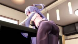 Honkai (Series) Rule 34 Video