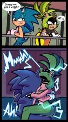 Sonic The Hedgehog (Idw) Rule 34 Image