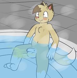 anthro blush bodily_fluids embarrassed felid feline genital_fluids hi_res male male_focus male_only male_solo mammal omorashi peeing ritz_(ritzcat) ritzcat sauna solo solo_male urine urine_stream young