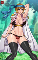 koala (one piece) from one piece by grindowl77