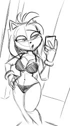 amy_rose bikini bra breasts furry gloves hand_on_hip sega selfie sketch smartphone sonic_(series) thong whitesexybunny1