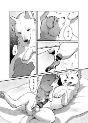 2023 absurd_res animal_genitalia anus azu_(momou_fox) ball_grab balls becoming_erect black_and_white canid canine canine_genitalia canis censored comic digital_media_(artwork) domestic_dog doujinshi duo female feral fluffy fluffy_tail fur genital_focus genitals hi_res japanese_text licking lying male male/female mammal markings momou monochrome on_back oral penile penis penis_lick quadruped sex sheath sheath_lick tail tail_markings text tongue translation_request