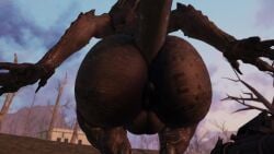 3d animated ass back_view backsack balls bethesda_softworks bouncing_butt deathclaw fallout first_person_view from_behind gay hi_res inviting inviting_to_sex male male_only monster pov presenting presenting_ass presenting_butt roblox short_playtime tagme video weapon willie_piv