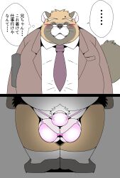 2024 absurd_res anthro balls belly big_balls big_belly blush brown_body canid canine closed_eyes clothing eyewear genitals glasses hi_res japanese_text kemono male mammal mature_male necktie overweight overweight_male penis pubes raccoon_dog shirt sigenoya solo takotyutyu tanuki text topwear underwear