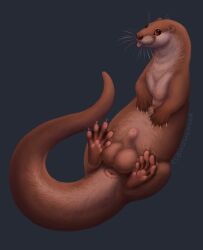 animal_genitalia anus balls big_balls blep brown_body brown_eyes brown_fur claws cloudweaver_(artist) countershade_neck countershade_torso countershading feet feral foot_focus fur genitals hi_res lying male mammal membrane_(anatomy) mustelid on_back otter paws presenting_balls sheath short_fur small_ears solo tapering_tail toes tongue tongue_out webbed_feet whiskers
