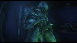 3d animated ball_fondling erection frottage gay halo_(series) interspecies kig-yar licking_chest male/male male_sangheili_(halo) masturbation moaning mp4 muscular muscular_male penis rooking sangheili size_difference skirmisher sound tagme teeth uncircumcised video yellow_eyes